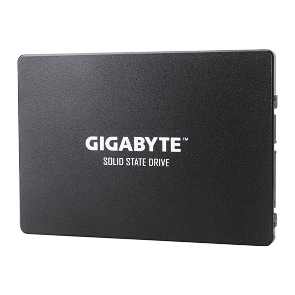 GIGABYTE SSD disk 1 TB GP-GSTFS31100TNTD