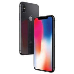 Apple iPhone X, 64GB, kozmická sivá, Trieda C - použité s DPH, záruka 12 mesiacov na pgs.sk