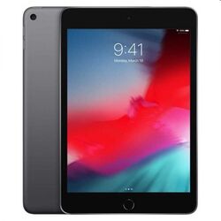 Apple iPad mini (2019) Wi-Fi, 64GB, kozmická sivá, Trieda A - použité, záruka 12 mesiacov na pgs.sk