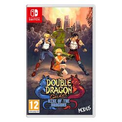 Double Dragon Gaiden: Rise of the Dragons [NSW] - BAZÁR (použitý tovar) na pgs.sk