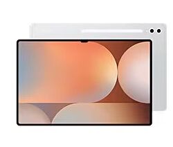 Samsung GalaxyTab S10 Ultra 5G, 256GB, silver