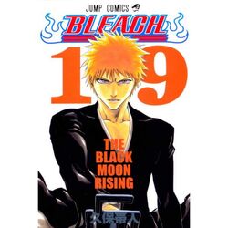 Bleach 19 na pgs.sk