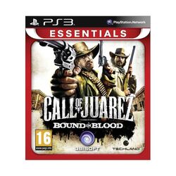 Call of Juarez: Bound in Blood na pgs.sk